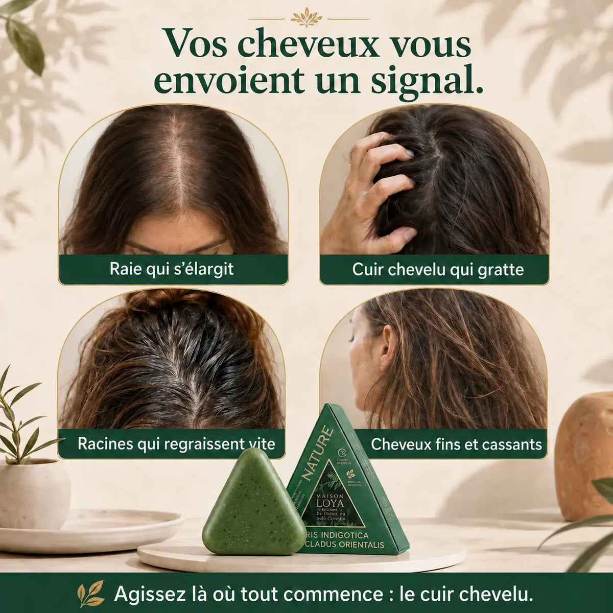 Savon Capillaire Coréen Anti-Chute & Densité